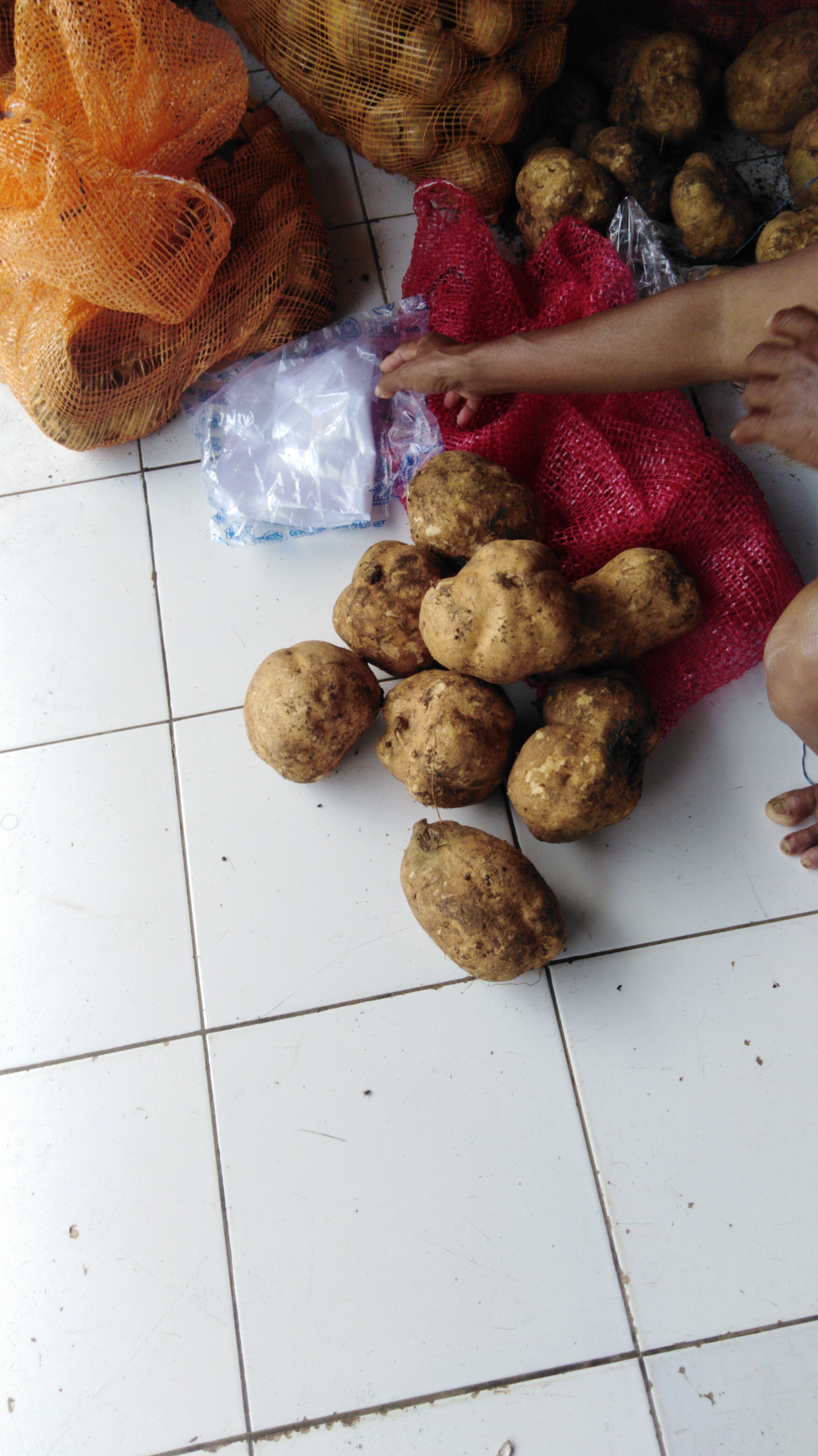 Ubi putih manis